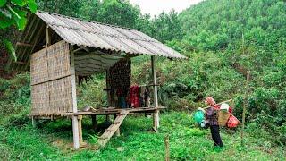 What will the life of single mother Ly Tu Linh be like? when stopping at an abandoned house.