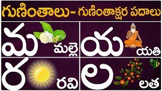 Guninthalu Guninthakshara Padalu | మ య ర ల గుణింత పదాలు | Ma Ya Ra La Gunintha Padalu |Telugu Vanam