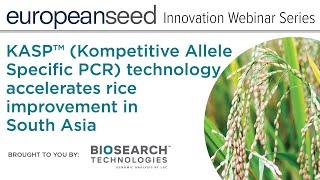 KASP™ (Kompetitive Allele Specific PCR) technology accelerates rice improvement in South Asia