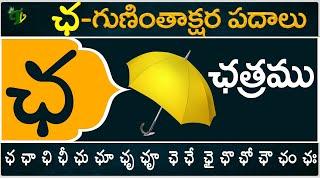 ఛ గుణింతాక్షర పదాలు | Cha Guninthakshara Padalu | Cha Gunintham padalu in telugu | Telugu Vanam