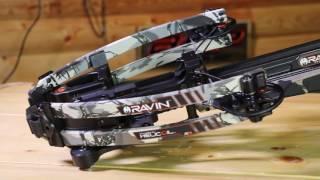 Crossbow Show Down Final - heads up testing best crossbows