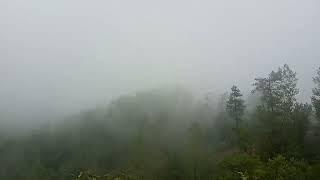 Murree weather #Murree