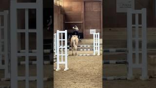 Biggest jump yet!!!  #horse #equestrian