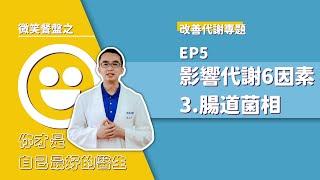 影響代謝6因素 : 3.腸道菌相 | 改善代謝專題EP5