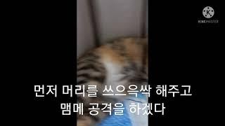 털바퀴  교육찡