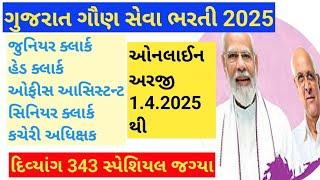 ગુજરાત ગૌણ સેવા ભરતી દિવ્યાંગ Special Bharti 2025 #nayabmamlatdar