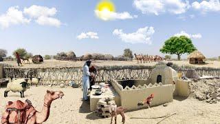 Interesting desert Life | Traditional Village Life |Cholistan Desert Pakistan | desert last village