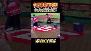 【台湾プロ野球の真実】エモすぎる衝撃５選！台灣職棒的真相、啦啦隊很受歡迎#プロ野球 #プレミア12 #台湾プロ野球 #台湾チア #台灣啦啦隊