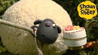 Shaun the Sheep  Cake Issues! - Cartoons for Kids  Full Episodes Compilation [1 hour]