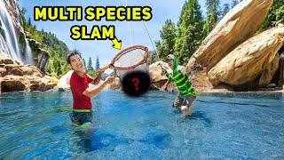 Fishing ULTRA CLEAR Mountain RIVER for MULTI SPECIES!