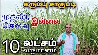 கரும்பு விவசாயத்தில் எளிய முறையில் சாதனை படைத்தவர் | karumbu vivasayam  | TN Vlogs