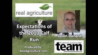 Expectations for the 2010 Calf Run - Jason Danard, TEAM Auction Sales