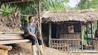 Today Girl Builds The Simplest Firewood Storage From Bamboo And Palm Leaves