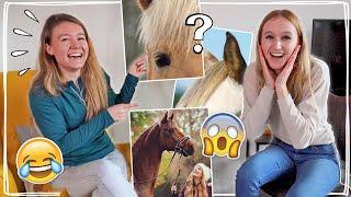 RAAD DE PAARDEN YOUTUBER MET FELINE! #1  *MOEILIJK!* | Daphne draaft door & Felinehoi