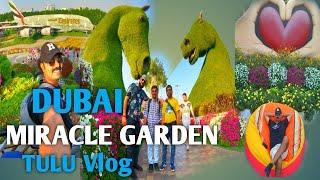 DUBAI MIRACLE GARDEN TULU VLOG | Dubai world Record Garden |  Dubai Travel Guid Tulu Vlog | dubai