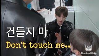 lee know battling everyone in stray kids (don't you dare to touch him) part 2 (리노는 야만적이다 2)