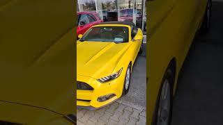 Ford Mustang neamule  de toate modelili ptr toate buzunarele  de evețian  cum ar veni 