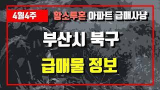 4월4주부산시 북구 아파트 저렴한 매물정보아파트 시세,시장분석