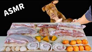 ASMR MUKBANG PITBULL EATING RAW FOODS