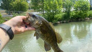 Fishing The Home Town Clinch River!!!