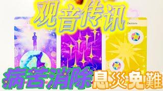 #塔羅占卜【觀音傳訊】接收好運｜病苦消除息災免難｜健康/愛情/事業/家庭/財富/靈性指數