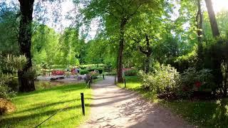 Japanese garden - Tallinn - Estonia