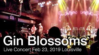 Gin Blossoms Live Concert (Feb 23, 2019) at Mercury Ballroom, Louisville KY