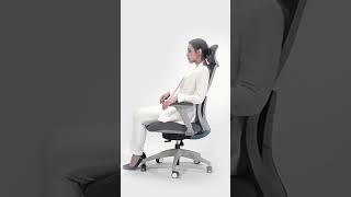 Fedo office chair