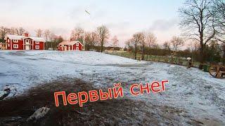 VLOG: Последняя рабочая неделя в Швеции