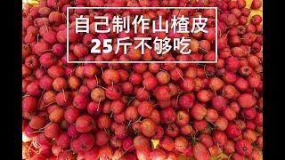 在美国自制山楂皮，25斤不够吃！（Chinese Hawthorne Processing）