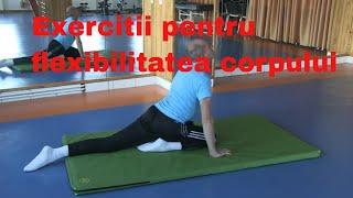 Complex de exercitii pentru flexibilitate