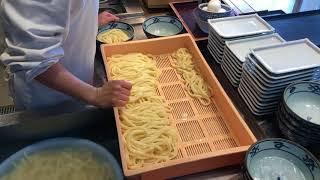 japanese udon うどん