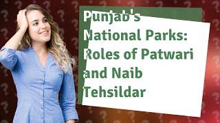 How Can I Explore National Parks in Punjab and Understand the Roles of Patwari and Naib Tehsildar?