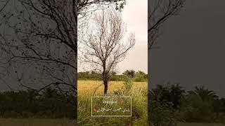 مکان #خوزستان #سفر #nature #طبیعت #travel