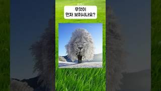 나의 장점은 과연 무엇일까? 성격 성향 테스트 퀴즈