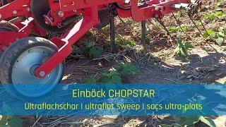 Row-crop cultivator with ultraflat sweeps - EINBÖCK Shortclip #20