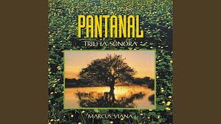 Pantanal