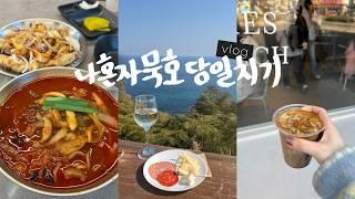 나 혼자 묵호 당일치기 여행vlog혼자 여행 성지! 이대로 가십쇼쇼 • 오션뷰기차여행, 생선구이, 존맛흑임자커피, 문어탕수육, 묵호등대, 논골담길, 하평해변 하루종일쏘다닌브이로그