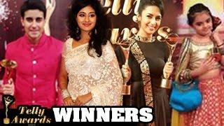 13th Indian Telly Awards 2014 | WINNERS REVEALED ( FULL SHOW )