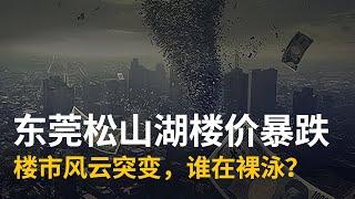 东莞松山湖楼价暴跌：楼市风云突变，谁在裸泳？ #东莞 #楼市 #暴跌 #泡沫 #楼价 #炒房 #房地产 #热搜  #