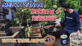 media tanam tabulampot subur + biaya murah untuk jeruk bali pamelo alpukat jambu biji strawberry dll