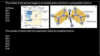 The Ramachandran plot: torsional angles - phi (φ) and psi (ψ)