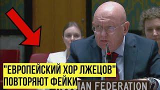 Стамбульские переговоры – последний шанс для Украины! Небензя ГРОМИТ спонсоров киевского режима