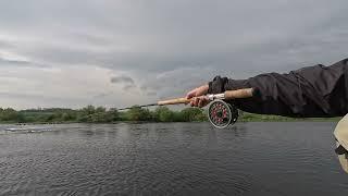 Salmon fishing on the River Tweed at the Lees 14th May 2024