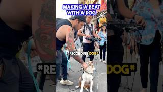 Made a beat LIVE with a DOG! ️ #dogsofinstagram #beatbox #musicproducer