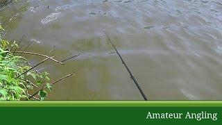 Quiver Tip Rod - Amateur Angling Fishing Glossary