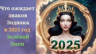 Что ожидает в 2025 году Змеи каждый знак Зодиака