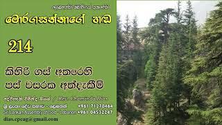 214 - කිහිරි ගස් අතරෙහි පස් වසරක අත්දැකීම | Pastor Chaminda Dias | Moragasannage Handa