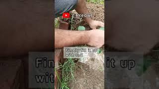 Right way to Plant a Tree 