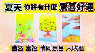 夏天驚喜好運到️塔羅占卜~夏天你將迎接什麼驚喜好運與新蛻變新收穫？將有什麼幸運|幸福？感情|事業學業|財富|夢想實現#塔羅#占卜#正能量#分享#愛#tarot#love#塔罗#爱